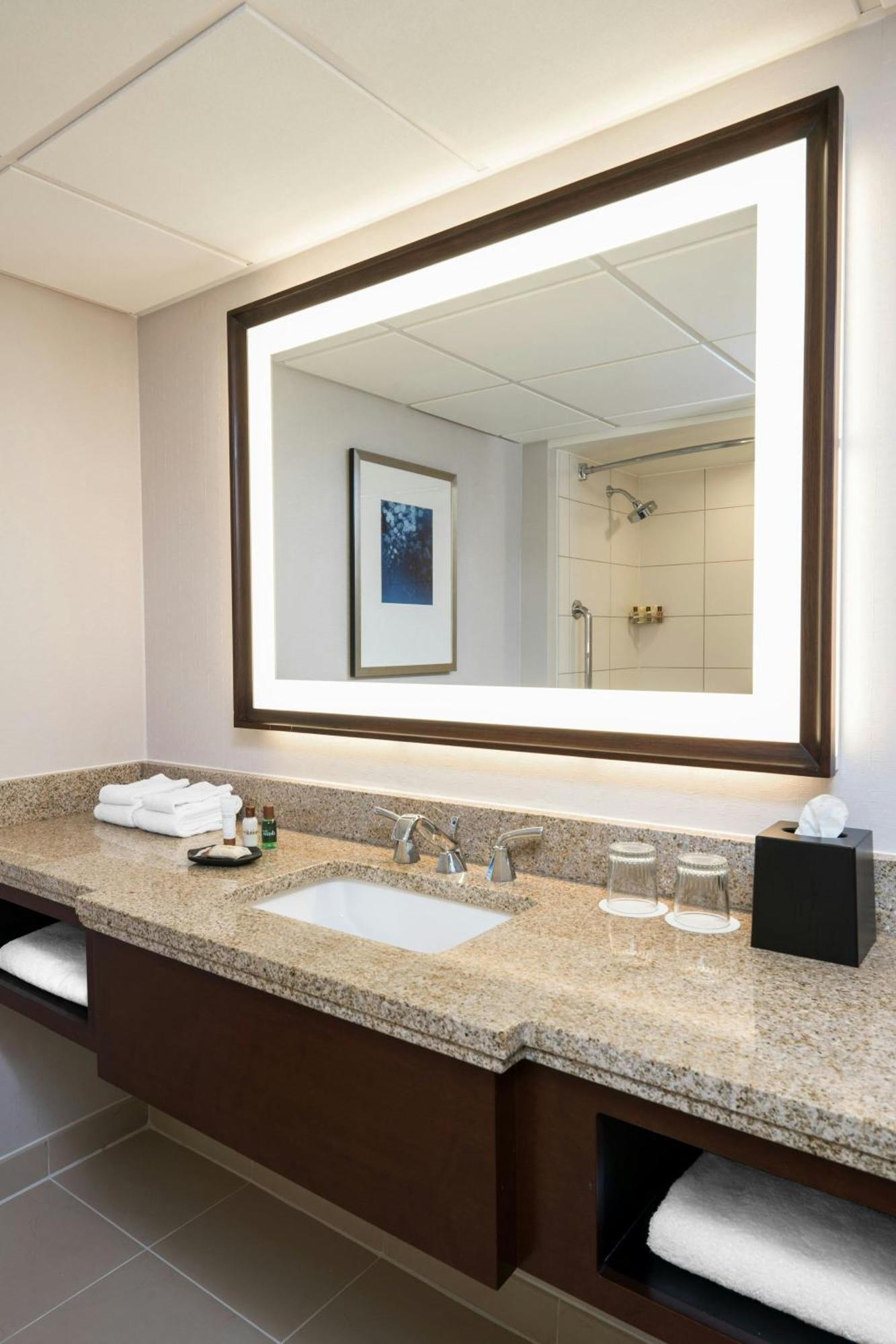 Sheraton Downtown Hotel 4*